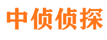 民权侦探